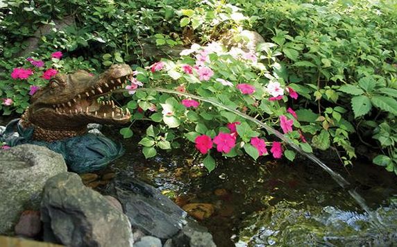 Caring Fountains 309660377609443.jpg