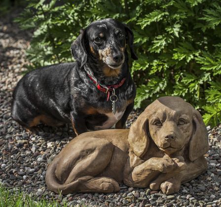 Pets Outdoor Fountains 530884181389.jpg