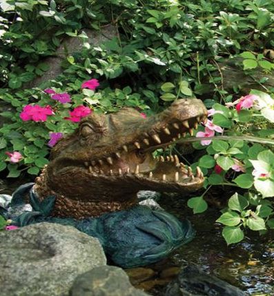 Much Pets Enjoy Water Features 926475325188209635.jpg
